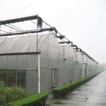 新型日光温室 智能化控制系统 农业种植大棚 暖棚 高透光 抗雪压